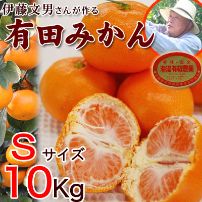 2020ǯͽ󳫻ϡͭĤߤӥ10kg ̵<BR>ƣʸˤ󤬺봰ͭĤߤ<BR>롦£˿͵Ǥ<BR><BR><BR>Ťߤ̪ߥΡߤͭĻԡ²λ