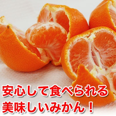 2020ǯͽ󳫻ϡͭĤߤӥ10kg ̵<BR>ƣʸˤ󤬺봰ͭĤߤ<BR>롦£˿͵Ǥ<BR><BR><BR>Ťߤ̪ߥΡߤͭĻԡ²λ