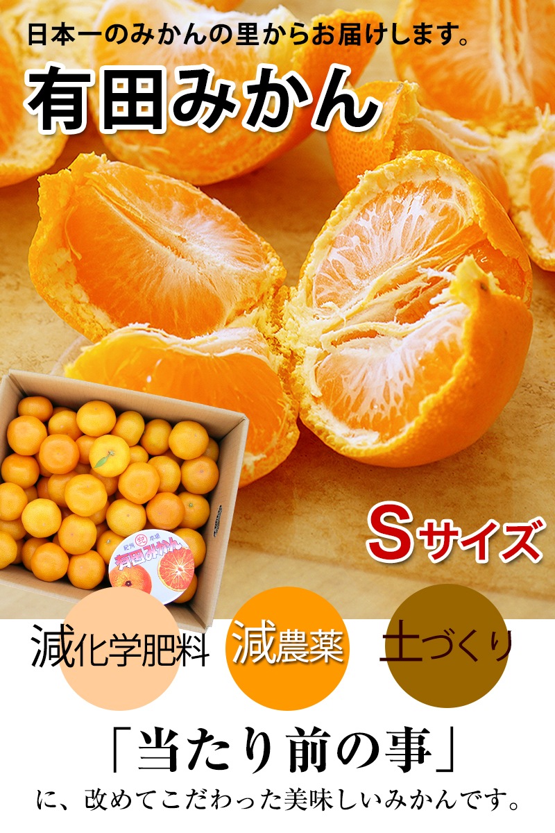 2025ǯ ��ͽ�󳫻� �������������Υޥ�����ݤǺ����̣����ͭ�Ĥߤ��� S������ 5kg ����̵�����̳�ƻ������������ �Ť�����̣����̪��<br> 11��ܤ��餴��ʸ��˽缡ȯ���ʻ������Բġ�