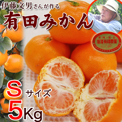 2020ǯ��ͽ�󳫻ϡ� ����ͭ�Ĥߤ���ӥ�����5kg��������̵����<BR>��ƣʸ�ˤ��󤬺�봰��ͭ�Ĥߤ���<BR>�����롦��£���˿͵��Ǥ�<BR>�ڤ�ͽ�󳫻�/11��ܤ��缡�в١�<BR><BR>�ڴŤ��ߤ���̪�����ߥ������Ρ������ߤ���ͭ�Ļԡ��²λ���