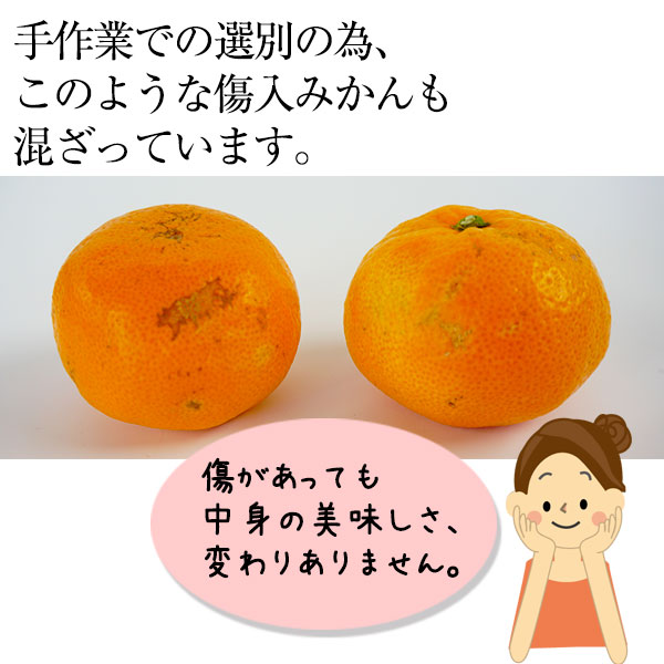 2025ǯ ͽ󳫻 ͭĤߤʼκǹ<br>ΤߤΤܤΡ2S3S3kg<br>3Ȣ̵̳ƻ<br>äȤϤʪˤȤΩȢ<br>̤ΰ١ߤ