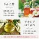 ���ݤȤϤ��ߤĤΥԥ奢���꡼ 6�糧�å� �� ͮ�� ��� �֥롼�٥꡼ ����� �ޥ󥴡��ե롼�ĥ��꡼ ���渵 �ƥ��ե�