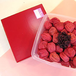 ��������ߴ��� ��ʬ10��<br>�����ߤʤΤ������Ω�ơ��������� ������������̣ 1.5��g<br>����̵�����̳�ƻ���������