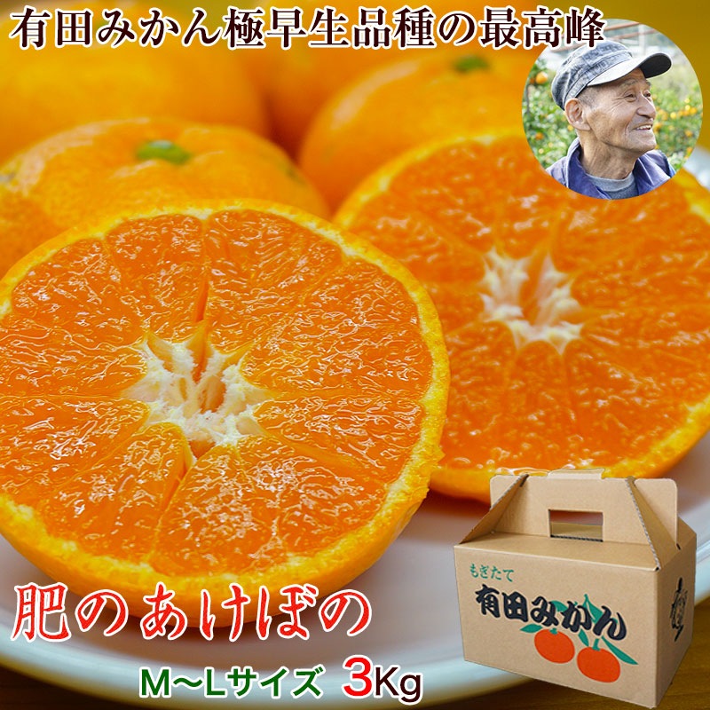 2025年 ご予約開始 有田みかん極早生品種の最高峰！<br>幻のみかん「肥
