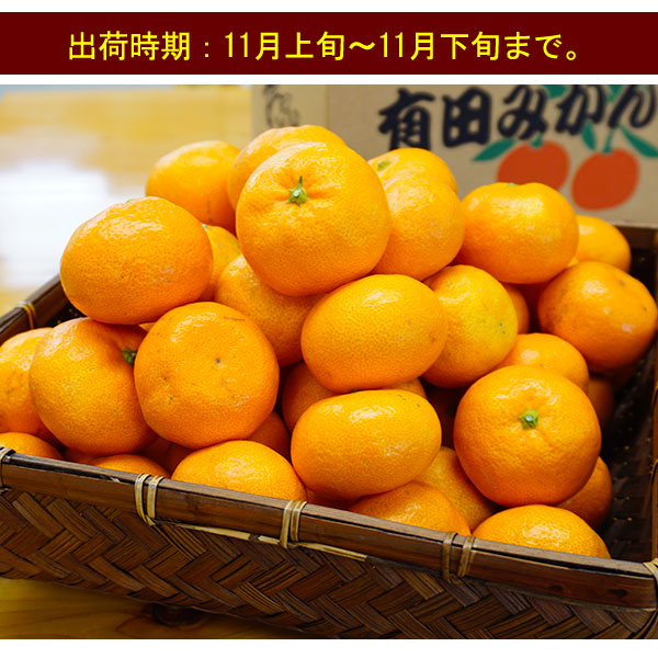 2025ǯ ��ͽ�󳫻� ͭ�Ĥߤ���������ʼ�κǹ�����<br>���Τߤ������Τ����ܤΡ�ML������3kg<br>3Ȣ������̵�����̳�ƻ���������<br>����äȤ������Ϥ�ʪ�ˤ�������Ȥ�Ω��Ȣ����<br>�����̤ΰ١�������ߤ����