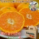 2025ǯ ��ͽ�󳫻� ͭ�Ĥߤ���������ʼ�κǹ�����<br>���Τߤ������Τ����ܤΡ�ML������3kg<br>3Ȣ������̵�����̳�ƻ���������<br>����äȤ������Ϥ�ʪ�ˤ�������Ȥ�Ω��Ȣ����<br>�����̤ΰ١�������ߤ����