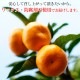 2025ǯ ��ͽ�󳫻� ͭ�Ĥߤ���������ʼ�κǹ�����<br>���Τߤ������Τ����ܤΡ�ML������3kg<br>3Ȣ������̵�����̳�ƻ���������<br>����äȤ������Ϥ�ʪ�ˤ�������Ȥ�Ω��Ȣ����<br>�����̤ΰ١�������ߤ����