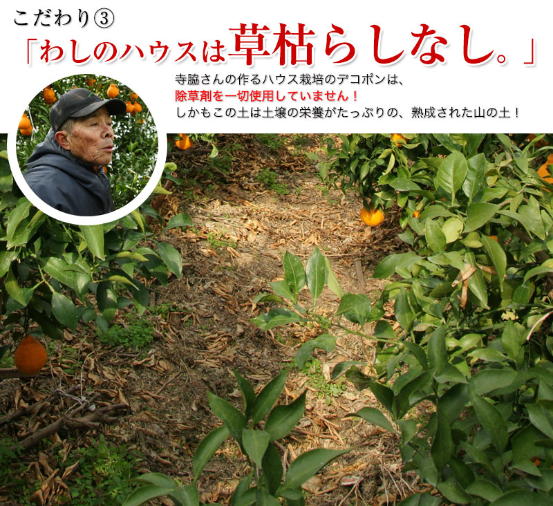 ϥݤδϥǥݥִťǥ <BR>²λ̵<BR>դ3̥103kg<BR><BR>ʤ˼ȿ٤롪ŤΤβСʤ̤˥ϥݤʤǤ̣ȼͭޤʤǺ夲뤳