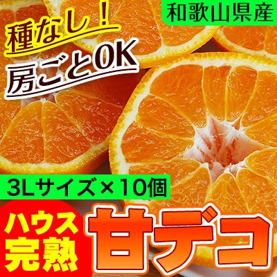 ϥݤδϥǥݥִťǥ <BR>²λ̵<BR>դ3̥103kg<BR><BR>ʤ˼ȿ٤롪ŤΤβСʤ̤˥ϥݤʤǤ̣ȼͭޤʤǺ夲뤳