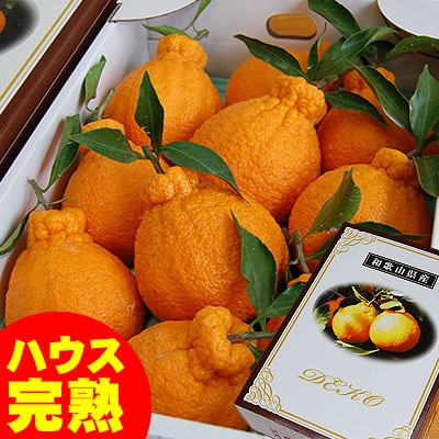 ϥݤδϥǥݥִťǥ <BR>²λ̵<BR>դ3̥103kg<BR><BR>ʤ˼ȿ٤롪ŤΤβСʤ̤˥ϥݤʤǤ̣ȼͭޤʤǺ夲뤳