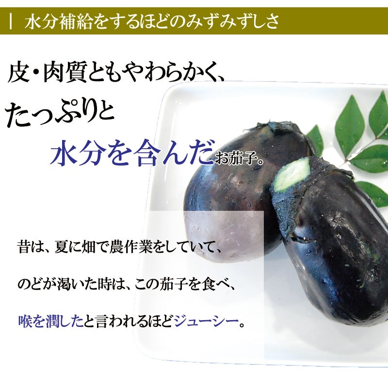 2025 ��ʤ� ��ػ� ��ʥ� ��������̣�򤮤�äȵͤ����� �������Τդߤ��ο�ʤ��� 2���� ������꾦��