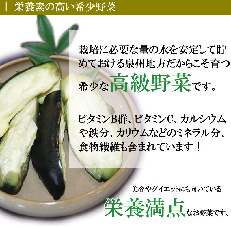 2025 ��ʤ� ��ػ� ��ʥ� ��������̣�򤮤�äȵͤ����� �������Τդߤ��ο�ʤ��� 2���� ������꾦��