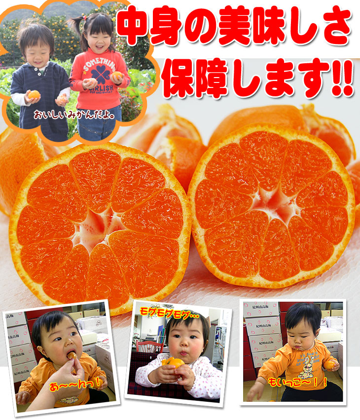 2025ǯ ��ͽ�󳫻� ͭ�Ĥߤ���Υȥåץ֥��ɡ�<BR>������ ����ͭ�ĥߥ���<BR> ����̵�����̳�ƻ������������ �����ꤴ������ 5kgȢ��<BR> 11����ܤ��餴��ʸ��˽缡ȯ���ʻ������Բġ� <BR>�Ť��ߤ��� ̪�� ������ �����ߤ���