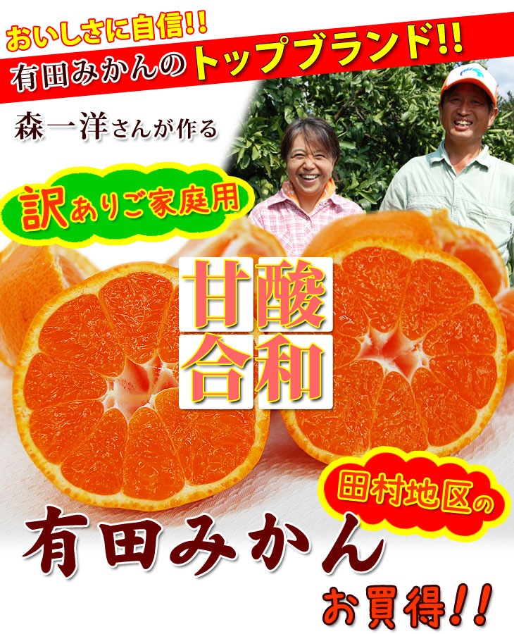 2025ǯ ��ͽ�󳫻� ͭ�Ĥߤ���Υȥåץ֥��ɡ�<BR>������ ����ͭ�ĥߥ���<BR> ����̵�����̳�ƻ������������ �����ꤴ������ 5kgȢ��<BR> 11����ܤ��餴��ʸ��˽缡ȯ���ʻ������Բġ� <BR>�Ť��ߤ��� ̪�� ������ �����ߤ���