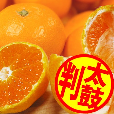 2025ǯ ��ͽ�󳫻� ͭ�Ĥߤ���Υȥåץ֥��ɡ�<BR>������ ����ͭ�ĥߥ���<BR> ����̵�����̳�ƻ������������ �����ꤴ������ 5kgȢ��<BR> 11����ܤ��餴��ʸ��˽缡ȯ���ʻ������Բġ� <BR>�Ť��ߤ��� ̪�� ������ �����ߤ���