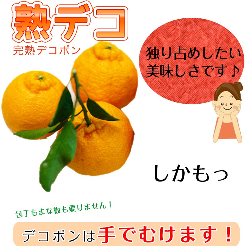 2025 ��ͽ�󳫻� �������� ���βСʥǥ��ݥ��<br>Ϫ�Ϻ��ݤμ��崰�ϥǥ��ݥ� �²λ�����<br>��������·����¿���ν�ͭ�ꡡ3kg����12�̡�<br>����̵�����̳�ƻ���������