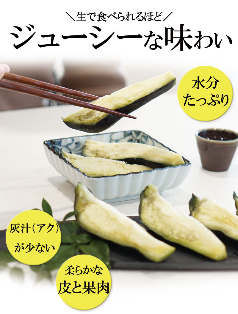 2025 ��ʤ� ��ػ� ��ʥ� ��������̣�򤮤�äȵͤ����� �������Τդߤ��ο�ʤ��� 10����<br>����̵�����̳�ƻ���������