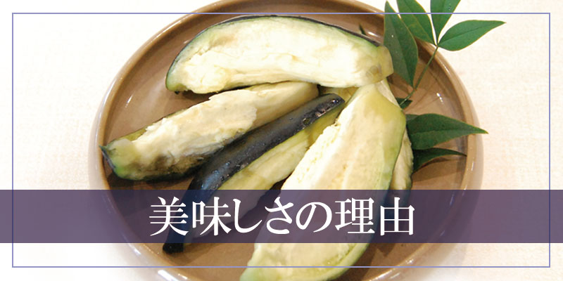 2025 ��ʤ� ��ػ� ��ʥ� ��������̣�򤮤�äȵͤ����� �������Τդߤ��ο�ʤ��� 10����<br>����̵�����̳�ƻ���������