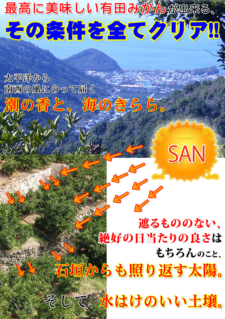 2025ǯ ��ͽ�󳫻� ͭ�Ĥߤ���Υȥåץ֥��ɡ�<BR> ������ ����ͭ�ĥߥ���<BR> ����̵�����̳�ƻ������������ �����ꤴ������ 7kgȢ��<BR>11����ܤ��餴��ʸ��˽缡ȯ���ʻ������Բġ�<BR> �Ť��ߤ��� ̪�� ������ �����ߤ���