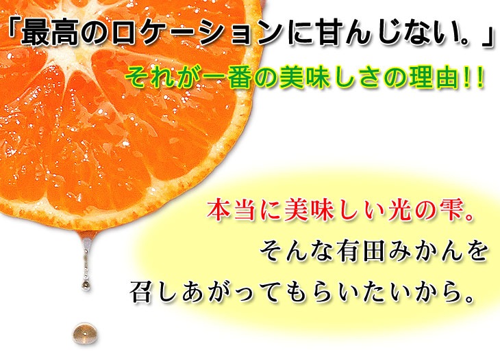 2025ǯ ��ͽ�󳫻� ͭ�Ĥߤ���Υȥåץ֥��ɡ�<BR> ������ ����ͭ�ĥߥ���<BR> ����̵�����̳�ƻ������������ �����ꤴ������ 7kgȢ��<BR>11����ܤ��餴��ʸ��˽缡ȯ���ʻ������Բġ�<BR> �Ť��ߤ��� ̪�� ������ �����ߤ���