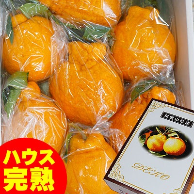 ϥݤδϥǥݥִťǥ <BR>²λ̵<BR>դΩɤ4̥83kg<BR><BR>ʤ˼ȿ٤롪ŤΤβСʤ̤˥ϥݤʤǤ̣ȼͭޤʤǺ夲뤳