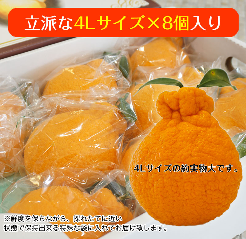 ϥݤδϥǥݥִťǥ <BR>²λ̵<BR>դΩɤ4̥83kg<BR><BR>ʤ˼ȿ٤롪ŤΤβСʤ̤˥ϥݤʤǤ̣ȼͭޤʤǺ夲뤳