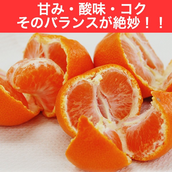 2020ǯ ͽ󳫻ϡߤ 10kg ̵  ߤ<br> ͭĤߤ ꤴ 10kg<BR><BR>̵ۢϰ<BR>ߥ50;ǯΰƣʸˤ󤬺봰ͭĤߤ<BR><BR>Ϥĺޤ