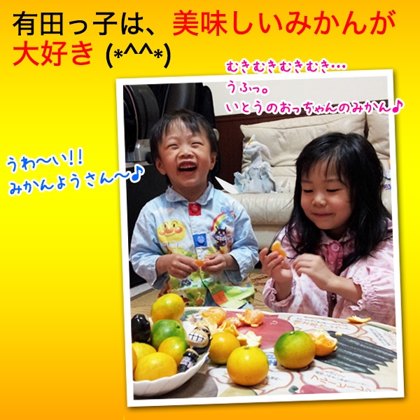 2020ǯ ͽ󳫻ϡߤ 10kg ̵  ߤ<br> ͭĤߤ ꤴ 10kg<BR><BR>̵ۢϰ<BR>ߥ50;ǯΰƣʸˤ󤬺봰ͭĤߤ<BR><BR>Ϥĺޤ