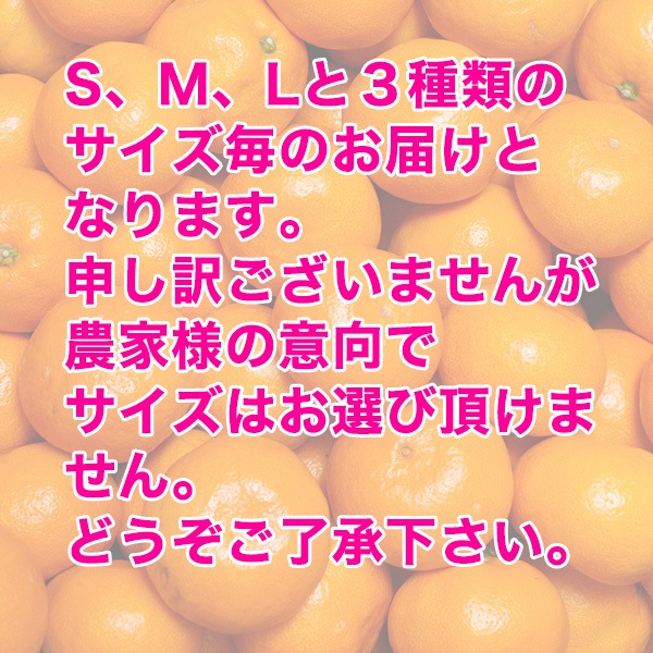 2020ǯ ͽ󳫻ϡߤ 10kg ̵  ߤ<br> ͭĤߤ ꤴ 10kg<BR><BR>̵ۢϰ<BR>ߥ50;ǯΰƣʸˤ󤬺봰ͭĤߤ<BR><BR>Ϥĺޤ