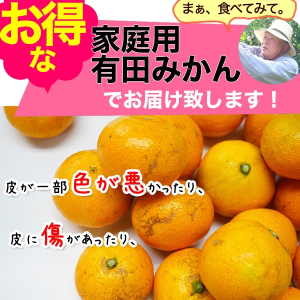 2020ǯ��ͽ�󳫻ϡ� ����ͭ�Ĥߤ��� �����������ꤴ������ 5kg<BR><BR>������̵���ۢ������ϰ�����<BR>�ߤ�����50;ǯ�ΰ�ƣʸ�ˤ��󤬺�봰��ͭ�Ĥߤ���<BR>�ڤ�ͽ�󳫻�/11��ܤ��缡�в١�<BR><BR>���������Ϥ�����ĺ���ޤ���