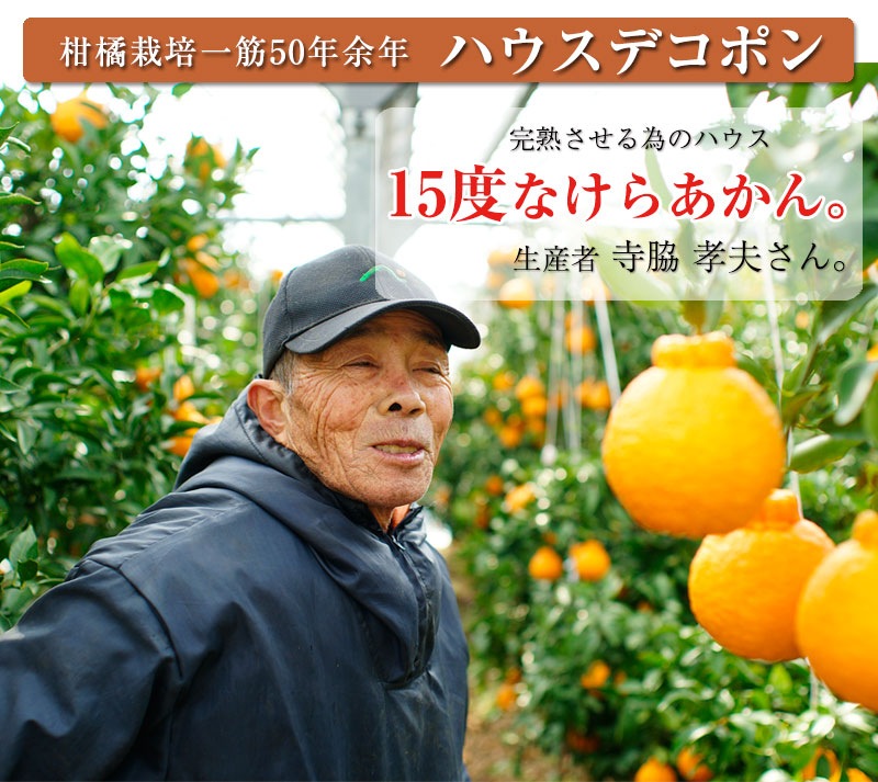 �ϥ������ݤδ��ϥǥ��ݥ�ִťǥ��� <BR>�²λ�����������̵����<BR>���դ��ä���5�̥�����7��������3kg��<BR><BR>��ʤ���˼���ȿ��٤��롪�Ť������Τ������βСʤ���̤��˥ϥ������ݤʤ�Ǥ���̣�������ȼ���ͭ������������ޤʤ��Ǻ��夲�뤳����