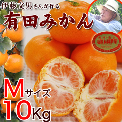 2020ǯ��ͽ�󳫻ϡ�����ͭ�Ĥߤ���ͥ�����10kg�� ����̵��<BR>��ƣʸ�ˤ��󤬺�봰��ͭ�Ĥߤ���<BR>�����롦��£���˿͵��Ǥ�<BR><BR>�Ť��ߤ���̪�����ߥ������Ρ������ߤ���ͭ�Ļԡ��²λ�