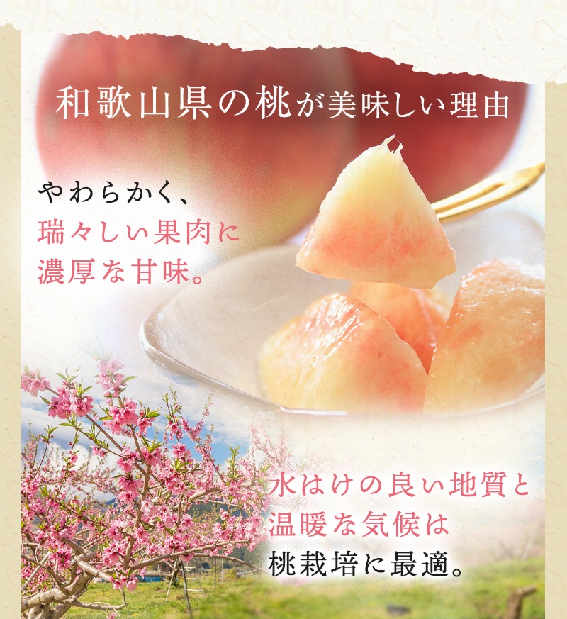 2025ǯ ͽ󳫻 ²λ ʸ󥵡 2kg 6<br>  ̡ʤǤϤޤ<br>  ̽äפꥸ塼ľ̵ sum