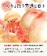 2025ǯ ͽ󳫻 ²λ ʸ󥵡 2kg 6<br>  ̡ʤǤϤޤ<br>  ̽äפꥸ塼ľ̵ sum