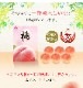 2025ǯ ͽ󳫻 ²λ ʸ󥵡 2kg 6<br>  ̡ʤǤϤޤ<br>  ̽äפꥸ塼ľ̵ sum
