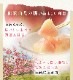 2025ǯ ͽ󳫻 ²λ ʸ󥵡 2kg 6<br>  ̡ʤǤϤޤ<br>  ̽äפꥸ塼ľ̵ sum