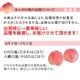 2026ǯ ��ͽ�������<br>�²λ�������������� 15����(��4kg)<br><br>���������ݤ�����¿��������ߤ��ߤ�����ǻ���ʴŤߤ���̣����������ľ����