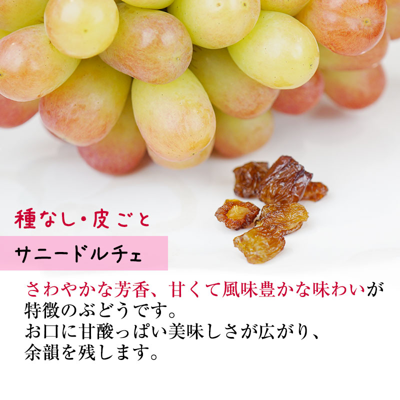 ̵ź�� �񻺴����֥ɥ�(������ƺ)50g<br>���㥤��ޥ����å�����ʤ����餴�Ȥ֤ɤ��Τߡ������֤ɤ�<br><br>�ɥ饤�ե롼�� �����Ի���<br>�����ʥ졼���� �磻��Τ��Ĥޤߤˤ⡪