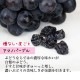 ̵ź�� �񻺴����֥ɥ�(������ƺ)50g<br>���㥤��ޥ����å�����ʤ����餴�Ȥ֤ɤ��Τߡ������֤ɤ�<br><br>�ɥ饤�ե롼�� �����Ի���<br>�����ʥ졼���� �磻��Τ��Ĥޤߤˤ⡪