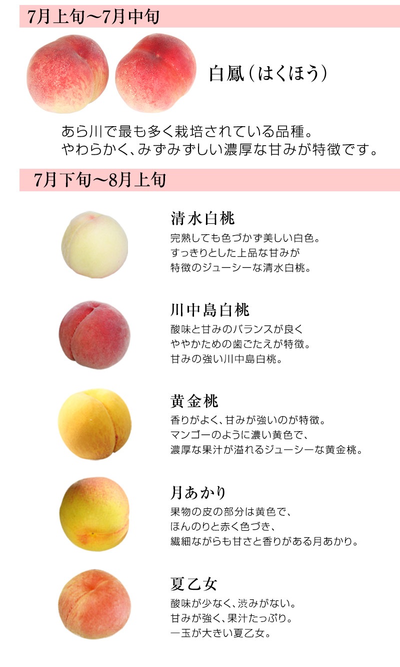 2025ǯ ��ͽ�������<br>�²λ�������������� 6����(��2kg)<br>4�̥��������ý��ʡ�<br>���������ݤ�����¿��������ߤ��ߤ�����ǻ���ʴŤߤ���̣����������ľ��������̵��