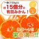 �񻺥ɥ饤�ߤ���֥ɥ�̪�����׶�̳������150g<br>ͭ�Ĥߤ���Υɥ饤�ե롼��<br>��4�ްʾ�����̵���ۢ��̳�ƻ����������