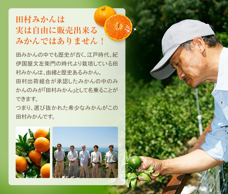 ������ ���ե� £��ʪ ��¼�ߤ��� L������ 5kg<br>����̵�����̳�ƻ�����������ˤߤ��� �ߥ��� ̪�� <br>ͭ�Ĥߤ���κǹ�֥��ɡ�<BR>��������̣���������󡪤�����ˤ�͵�<br>��11��ܤ��餴��ʸ��˽缡ȯ����