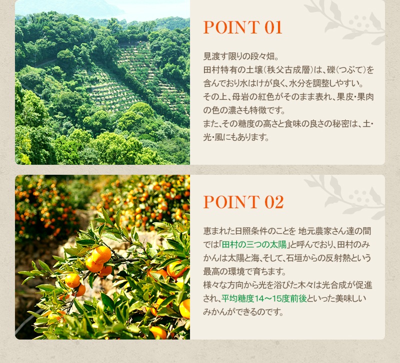 ������ ���ե� £��ʪ ��¼�ߤ��� L������ 5kg<br>����̵�����̳�ƻ�����������ˤߤ��� �ߥ��� ̪�� <br>ͭ�Ĥߤ���κǹ�֥��ɡ�<BR>��������̣���������󡪤�����ˤ�͵�<br>��11��ܤ��餴��ʸ��˽缡ȯ����