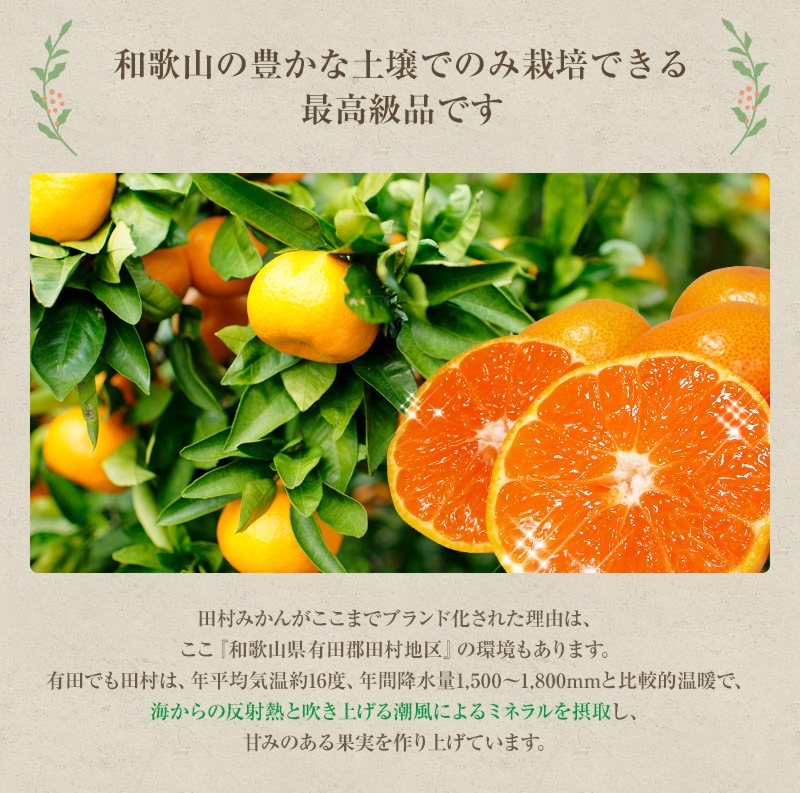 ������ ���ե� £��ʪ ��¼�ߤ��� M������ 5kg<br>����̵�����̳�ƻ�����������ˤߤ��� �ߥ��� ̪��<br>ͭ�Ĥߤ���κǹ�֥��ɡ�<BR>��������̣���������󡪤�����ˤ�͵���̪��<br>��11��ܤ��餴��ʸ��˽缡ȯ����