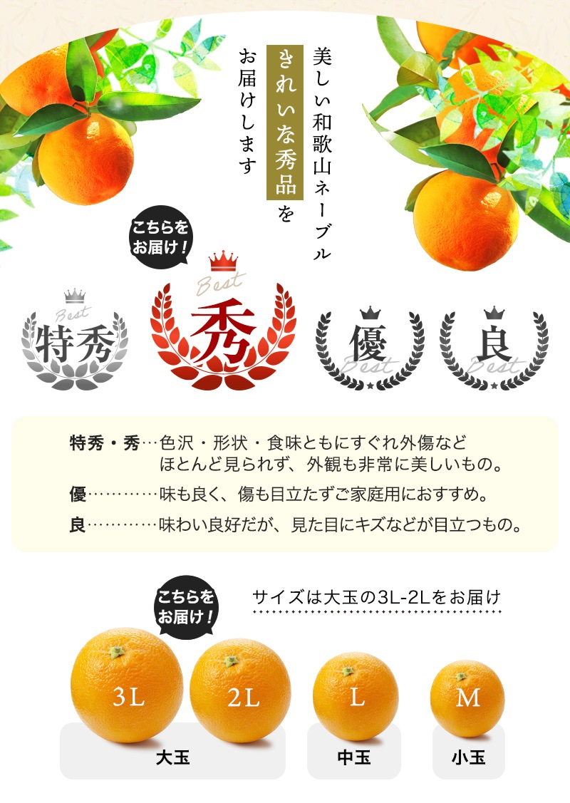 2026ǯ ��ͽ�󳫻�<br>�²λ������͡��֥� ����� �������� ��3kg ����14�̡�<br>2L��3L�������ν���<br>����̵��(�̳�ƻ����������)<br>�������ǰ¿����Ƥ������夬��ĺ����͡��֥� ��� ���ե�