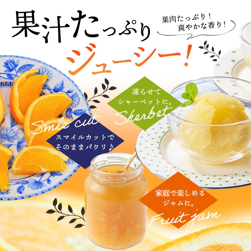 2026ǯ ��ͽ�󳫻�<br>�²λ������͡��֥� ����� �������� ��3kg ����14�̡�<br>2L��3L�������ν���<br>����̵��(�̳�ƻ����������)<br>�������ǰ¿����Ƥ������夬��ĺ����͡��֥� ��� ���ե�