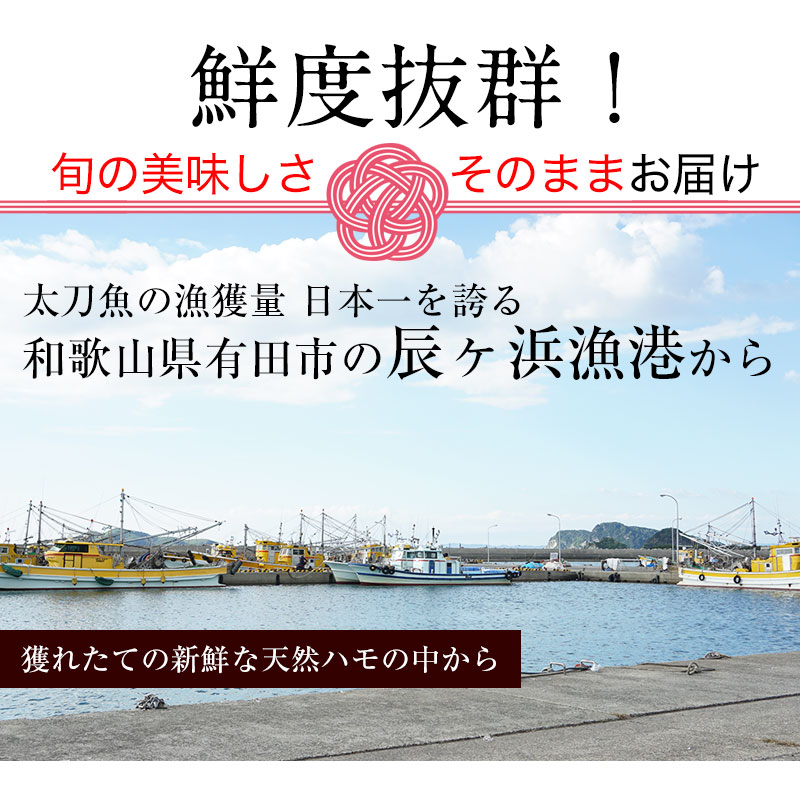 �˾�ŷ������ʥϥ��<br>���ڤ�Ѥߤ����ʤޤ�����ǡ�<br>���äפ�3��4���� 4���� ��450g�����塼�����������170g��<br><br>�²λ��� ä���͵���ľ����������̵����<br>�Ϥ����������ϥ��顢���ŷ�פ顢�礹�����ϥ�ȾƤ����ˡ�