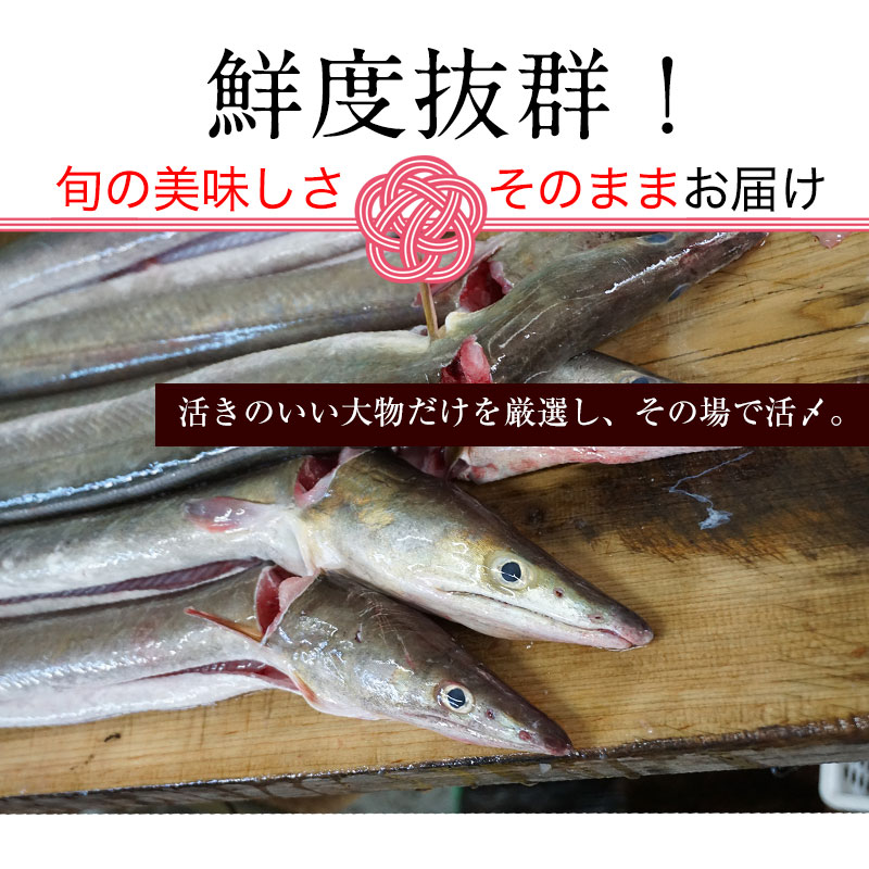 �˾�ŷ������ʥϥ��<br>���ڤ�Ѥߤ����ʤޤ�����ǡ�<br>���äפ�3��4���� 4���� ��450g�����塼�����������170g��<br><br>�²λ��� ä���͵���ľ����������̵����<br>�Ϥ����������ϥ��顢���ŷ�פ顢�礹�����ϥ�ȾƤ����ˡ�