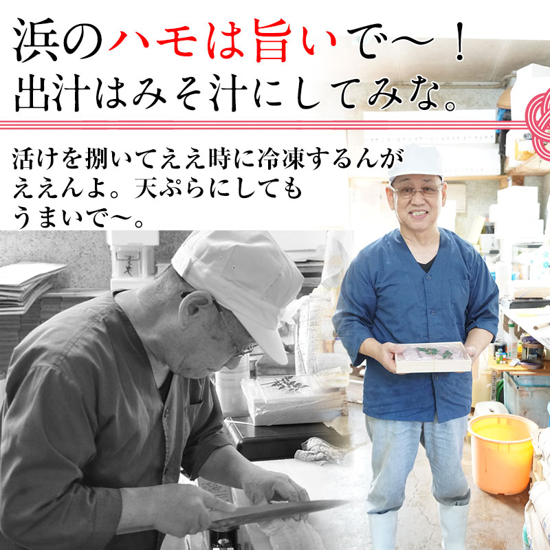 �˾�ŷ������ʥϥ��<br>���ڤ�Ѥߤ����ʤޤ�����ǡ�<br>���äפ�3��4���� 4���� ��450g�����塼�����������170g��<br><br>�²λ��� ä���͵���ľ����������̵����<br>�Ϥ����������ϥ��顢���ŷ�פ顢�礹�����ϥ�ȾƤ����ˡ�