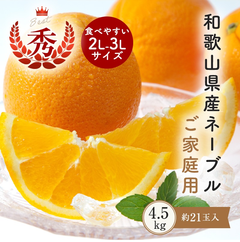 ご予約開始<br>和歌山県産ネーブル オレンジ ご家庭用 約4.5kg